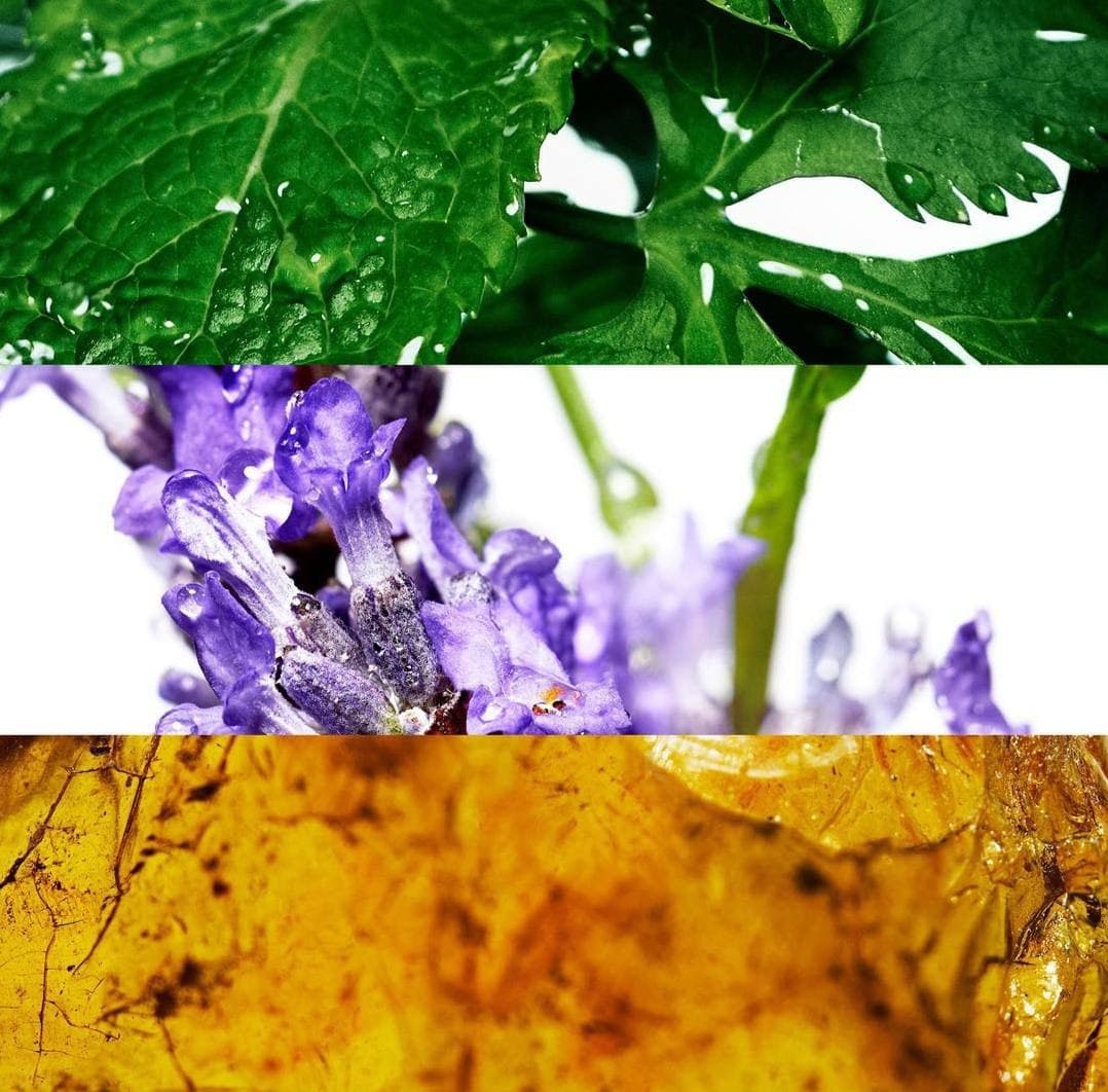 Davidoff Cool Water 3